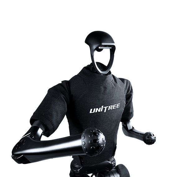 H1 — upper body